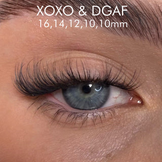 XOXO & D.G.A.F. Duo Cluster Pack - Unicorn Cosmetics