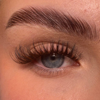 *NEW* Shut the Fluff up In Espresso Swirl UnBearlievable DIY Clusters