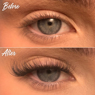 I.F.L.Y. Super Pre-Glued Lash Starter Kit - Unicorn Cosmetics