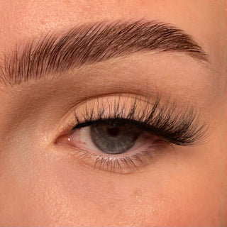 Toxiic Brat Allsorts Half Lashes