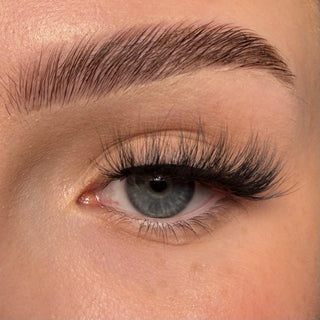 Trash Kitty Allsorts Half Lashes